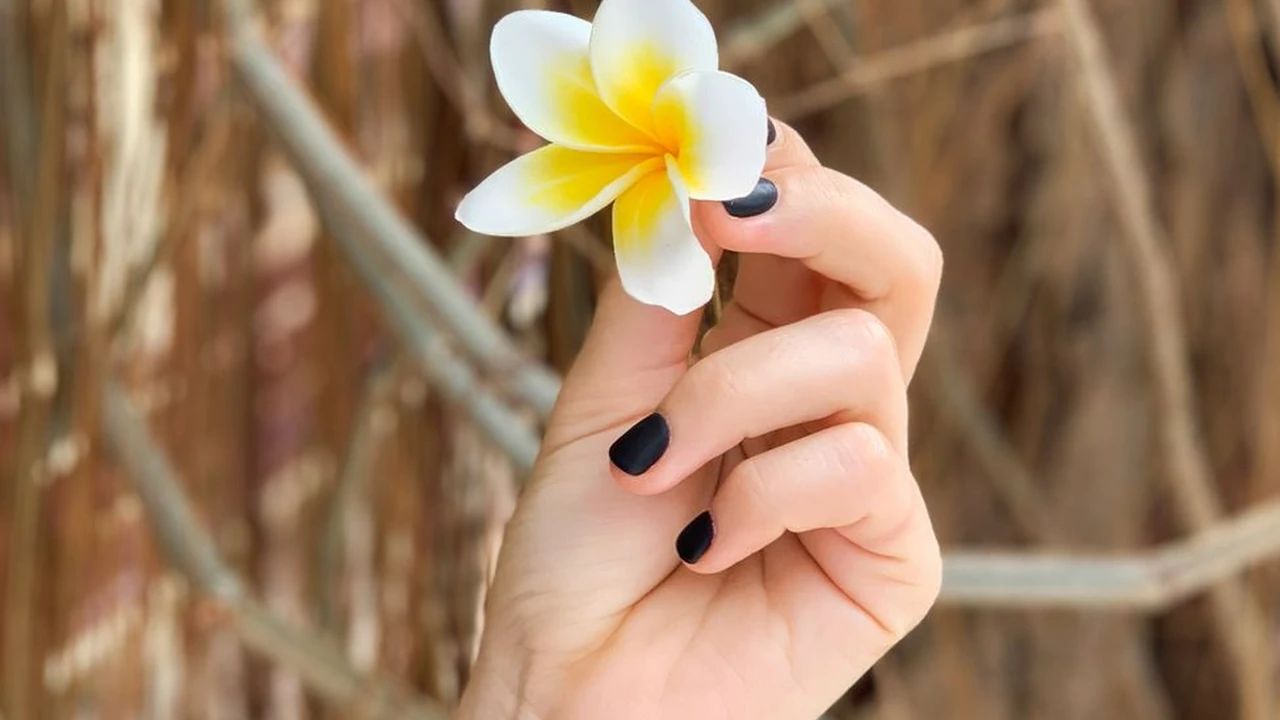 91在线视频免费观看平台的功能特点与使用场景说明